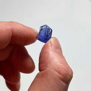 tanzanite in hand