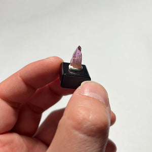tanzanite crystal size in hand