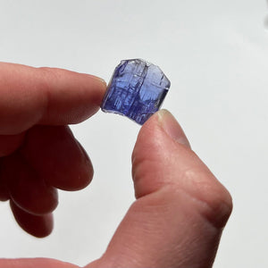 tanzanite in hand