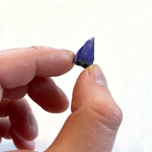 Natural Blue Tanzanite Crystal Purple Specimen
