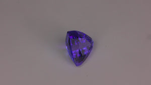 Trilliant Cut Tanzanite 7.91 Carats