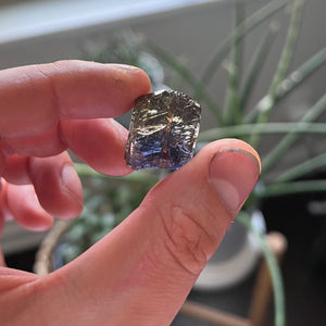 Unheated Tanzanite Crystal
