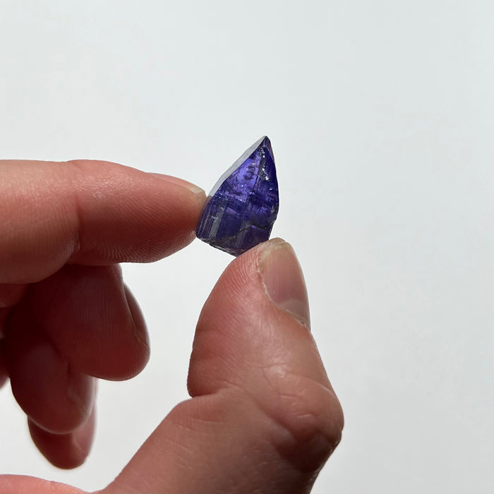 tanzanite mineral specimen in hand