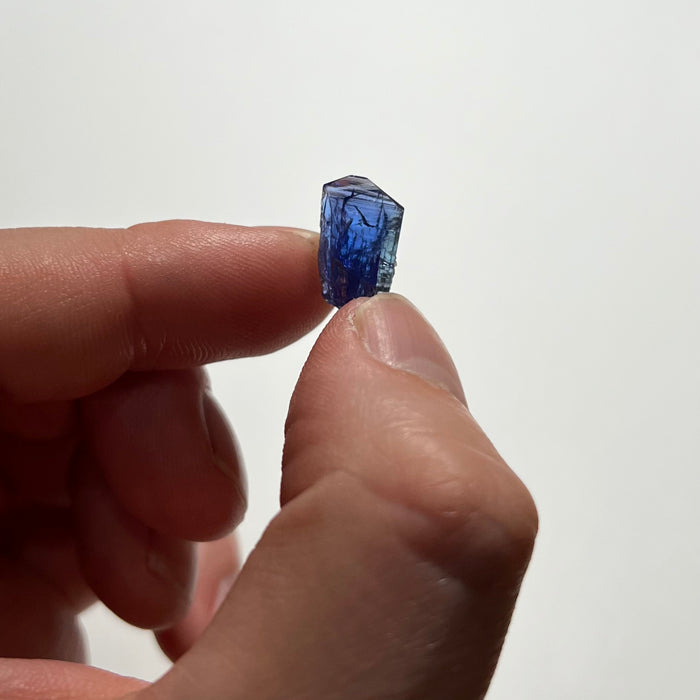tanzanite in hand