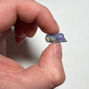 tanzanite crystal with diopside in hand