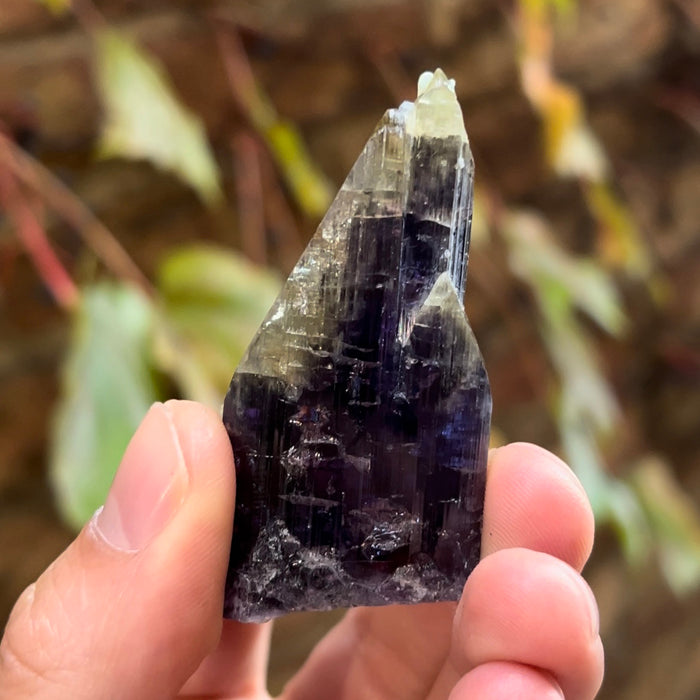 Natural Bicolor Unheated Tanzanite Crystal