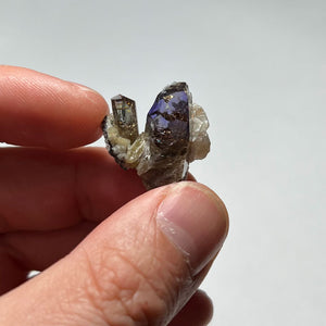 cluster of tanzanite crystals in hand