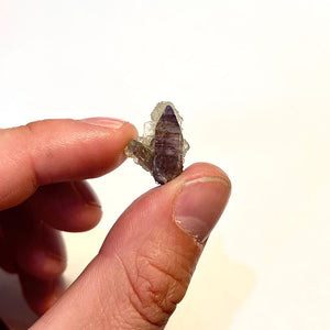 Tanzanite and prehnite mineral specimen from tanzania