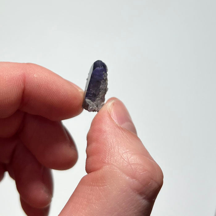 tanzanite in hand with phrenite