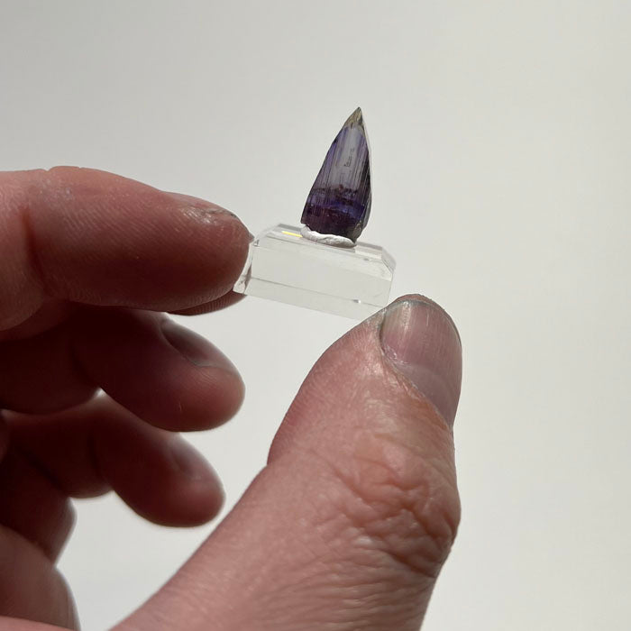raw size of tanzanite in hand