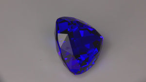 Trilliant Cut Tanzanite 25.06 Carats