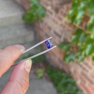 Mixed Brilliant Step Cut Tanzanite 2.78 Carats