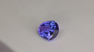Step Shield Tanzanite 10.23 Carats