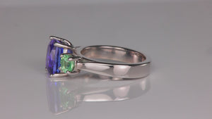 Platinum Tanzanite and Merilani Mint Garnet Ring 4.03 Carats