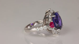 14K White Gold 6.69ct Oval Tanzanite, Ruby, and Diamond Ring By Steve Moriarty