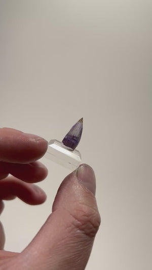 Natural Bi-Color Tanzanite Crystal – Tanzania – Violet Blue Zoisite Specimen 10.76ct