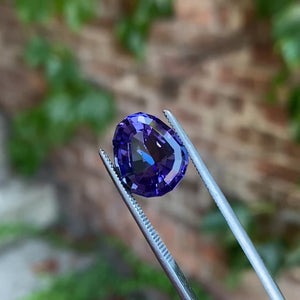 Step Shield Tanzanite 10.23 Carats