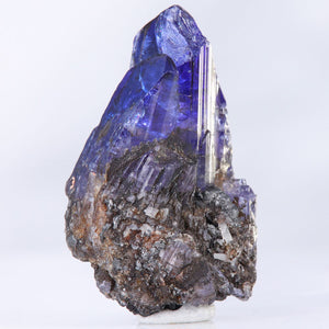 On Matrix Tanzanite Crystal Cluster Mineral Specimen