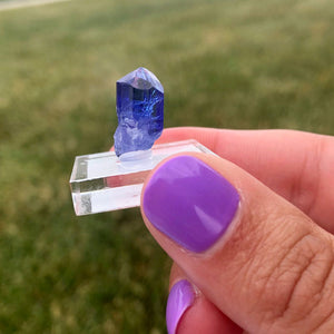 Gemmy Tanzanite Crystal Mineral Specimen