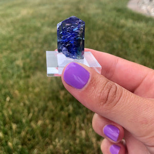 Blue Ocean Tanzanite Crystal Raw Specimen