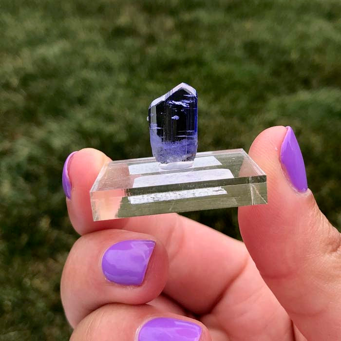 Tanzanite Crystal Gemmy Blue Purple Raw 