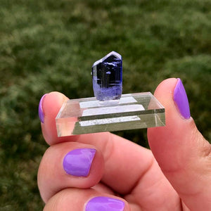 Tanzanite Crystal Gemmy Blue Purple Raw 