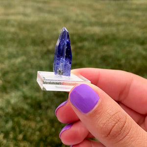 Rough Tanzanite Crystal Blue Purple Raw Specimen