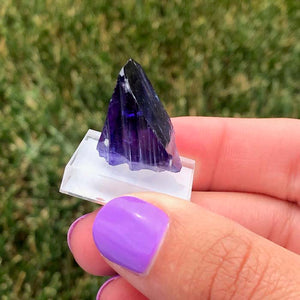 Natural Color Unheated Wedge Tanzanite Crystal Specimen