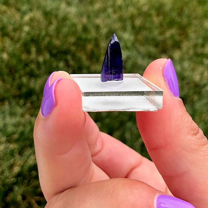 Rare Deep Color Unheated Tanzanite Crystal Mineral Specimen