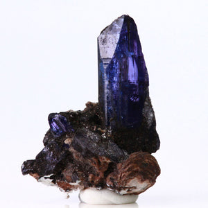 Tanzanite Crystal on Matrix Mineral Specimen