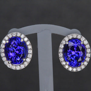 14K White Gold Oval Tanzanite and Diamond Earrings 5.50 Carats